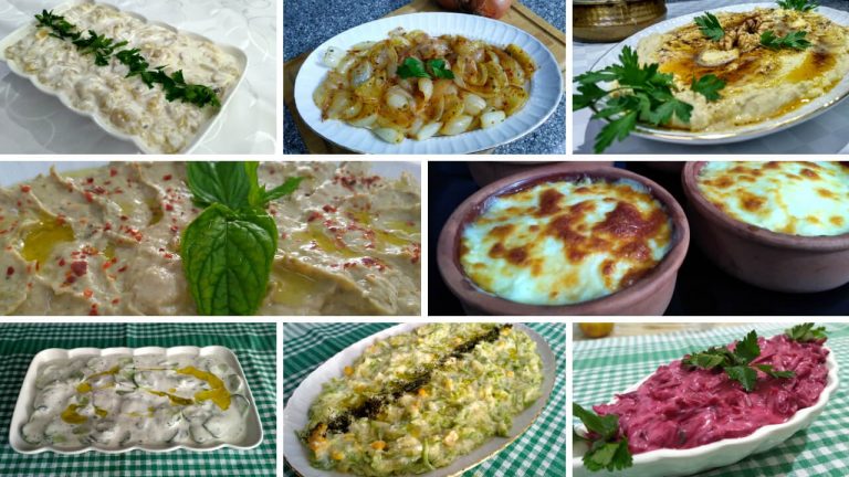 8 farklı nefis meze tarifi. Yoğurtlu-yoğurtsuz meze, sıcak-soğuk meze, patlıcanlı meze, kabaklı meze, nohutlu meze tarifleri hepsi bu sayfada mutlaka deneyiniz.